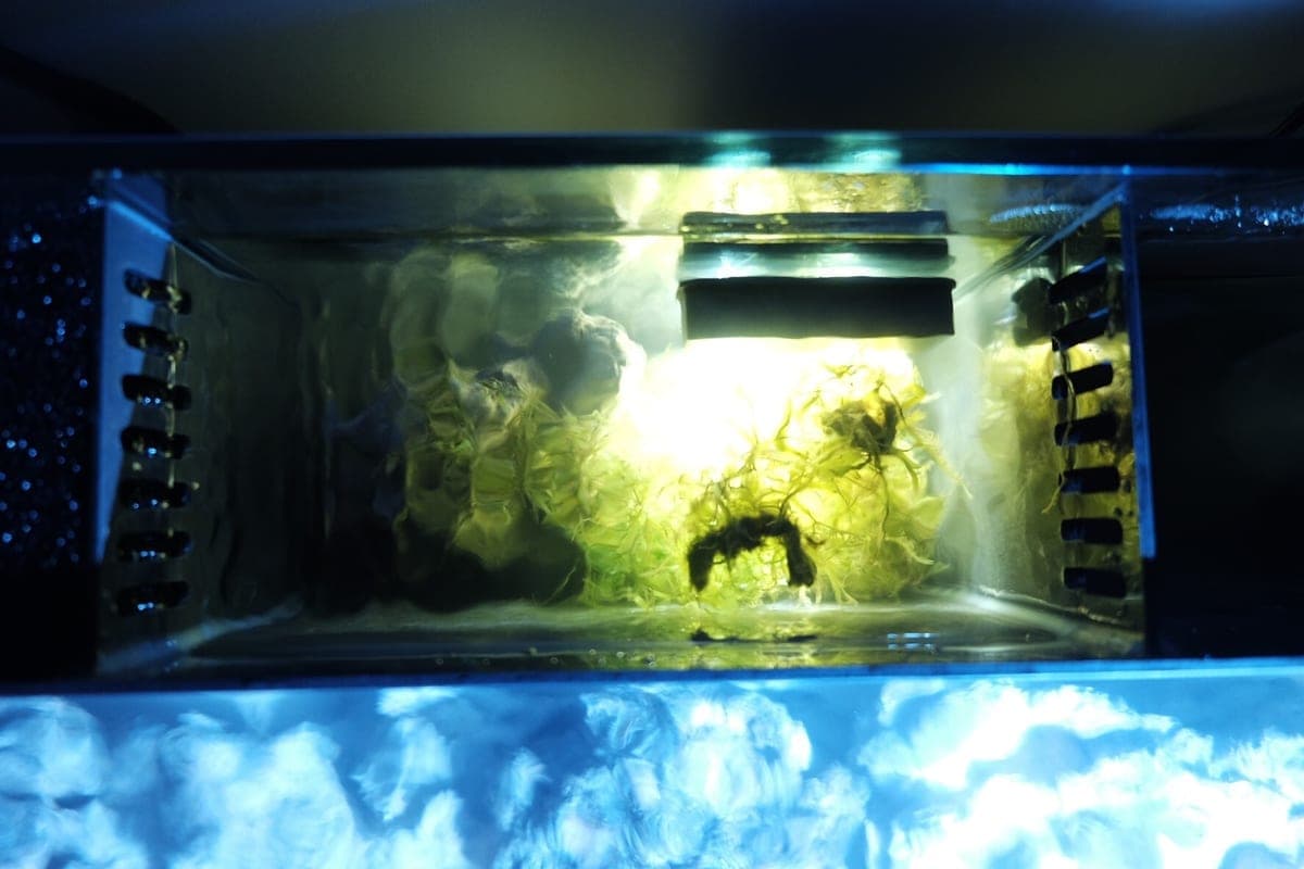 Understanding Water Parameters: The Complete Guide