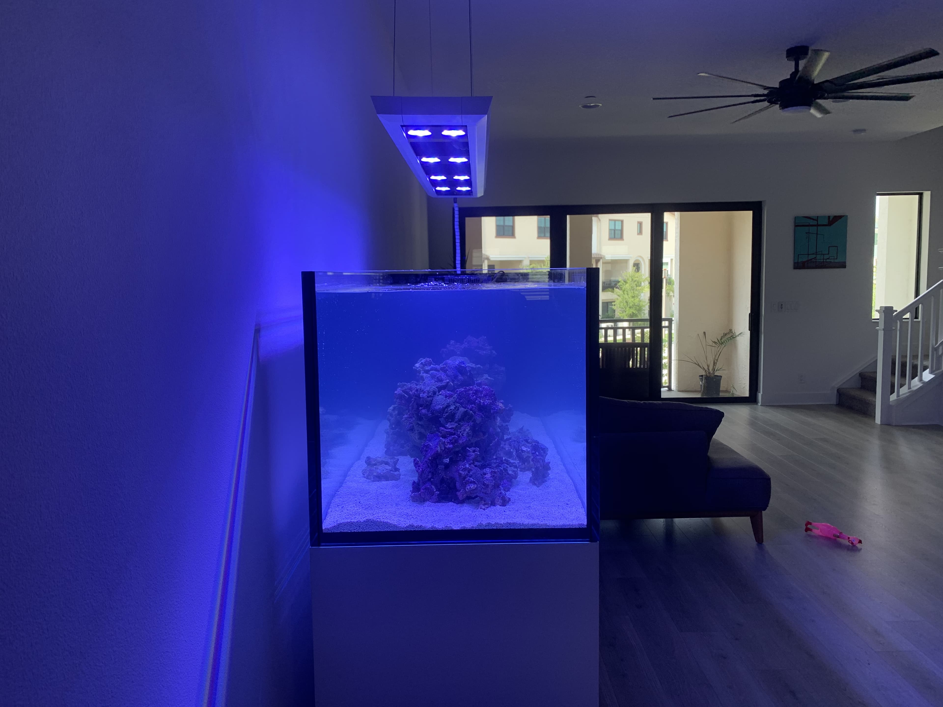 Modern cube reef aquarium with pendant light in open-plan Palm Beach County home — minimalist install by Aquaholic Aquarium Services