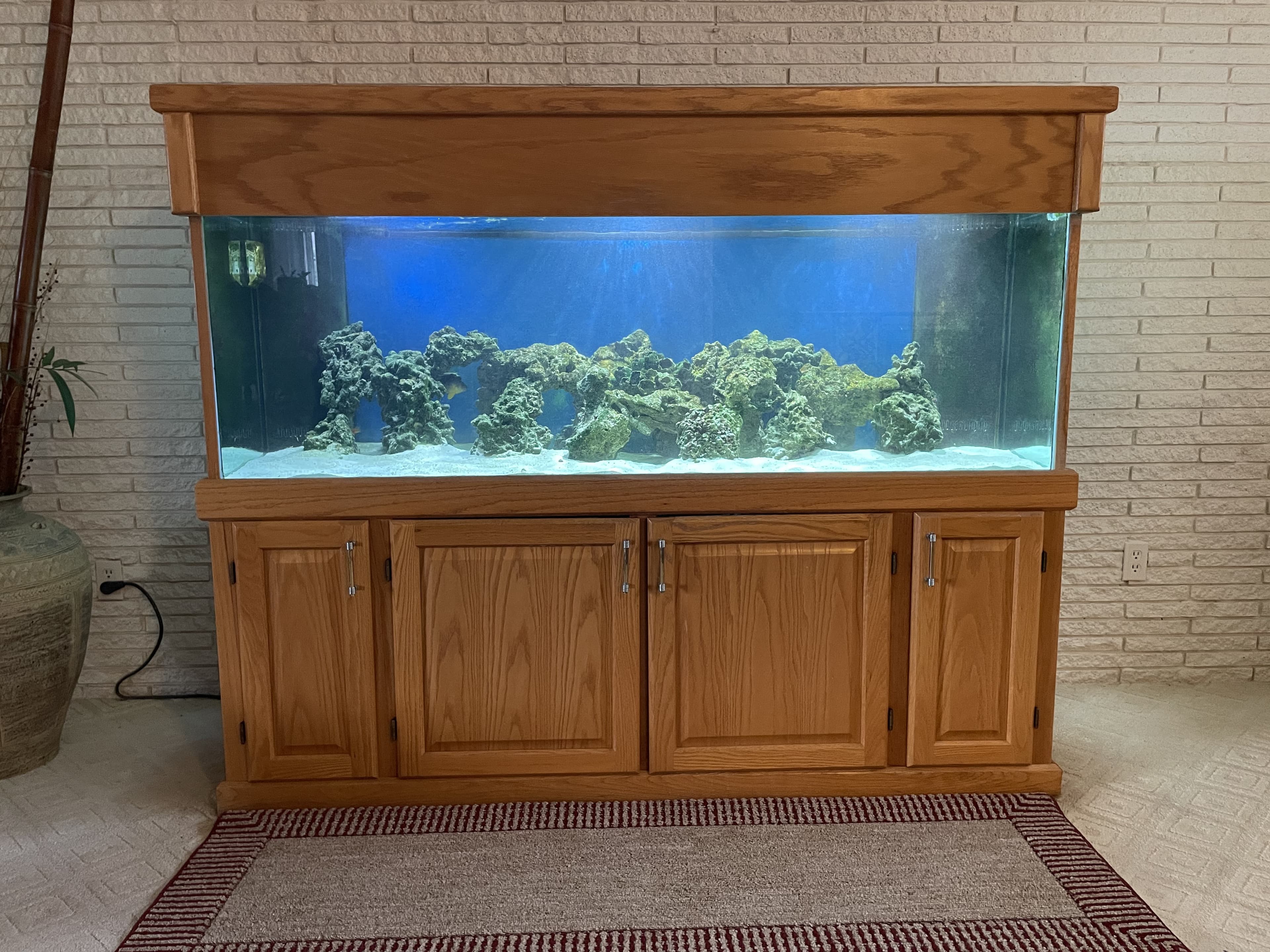 Classic large saltwater aquarium with oak cabinet — traditional build by Aquaholic Aquarium Services in Palm Beach County
