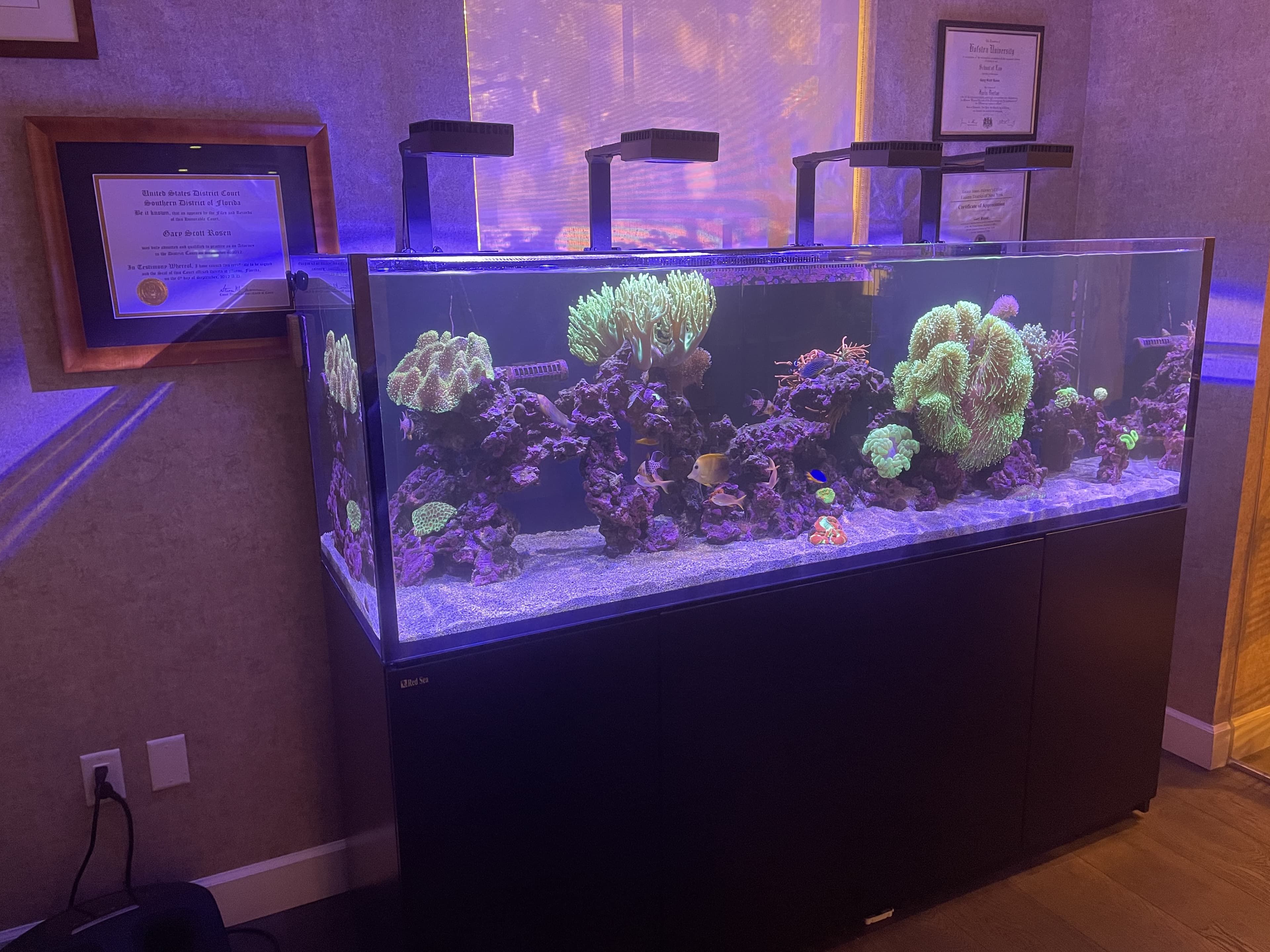 Large Red Sea reef aquarium with full coral and fish installed in a Palm Beach County law office by Aquaholic Aquarium Services