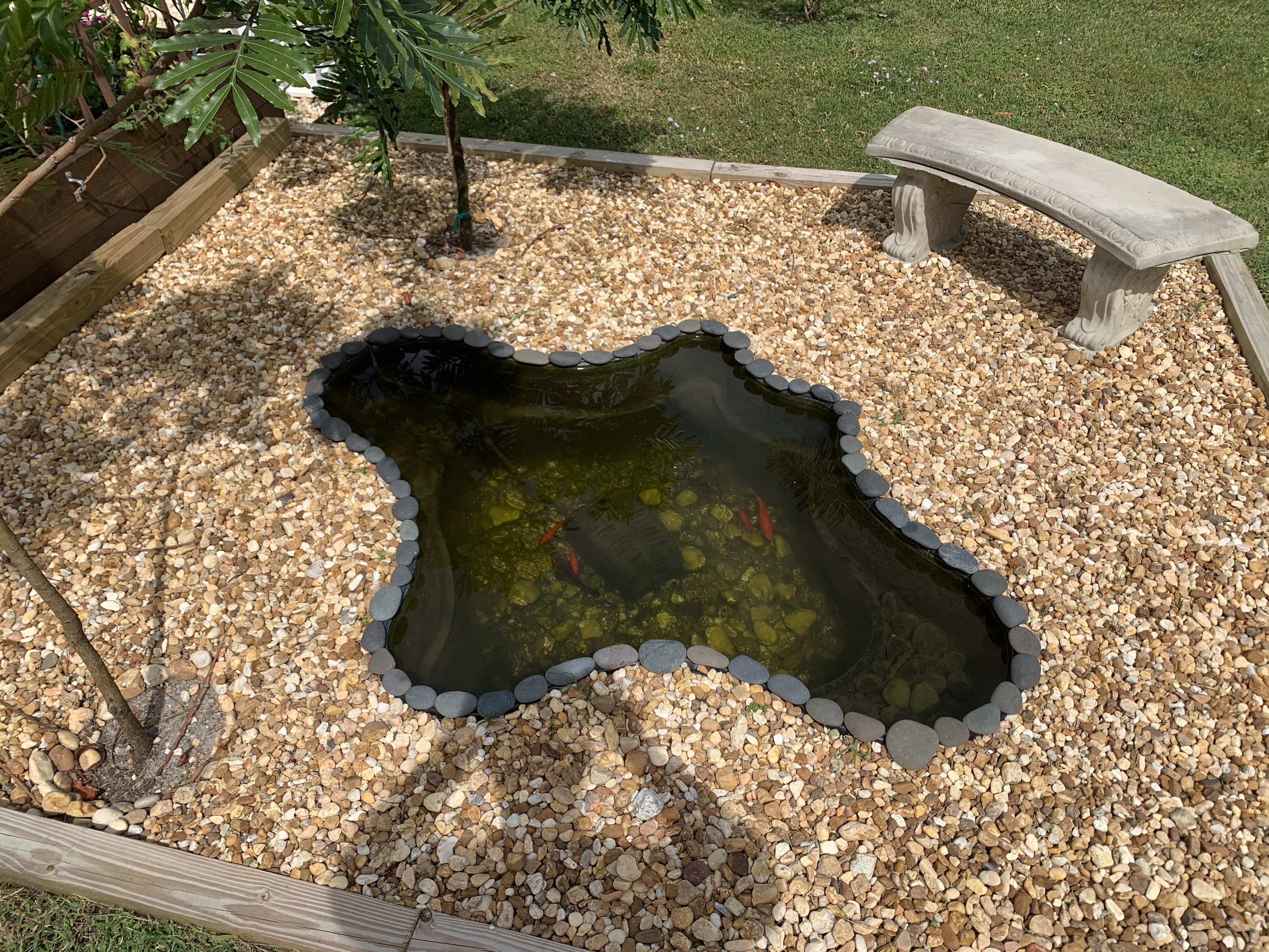 Outdoor koi pond with stone surround and bench — custom pond build by Aquaholic Aquarium Services in Palm Beach County