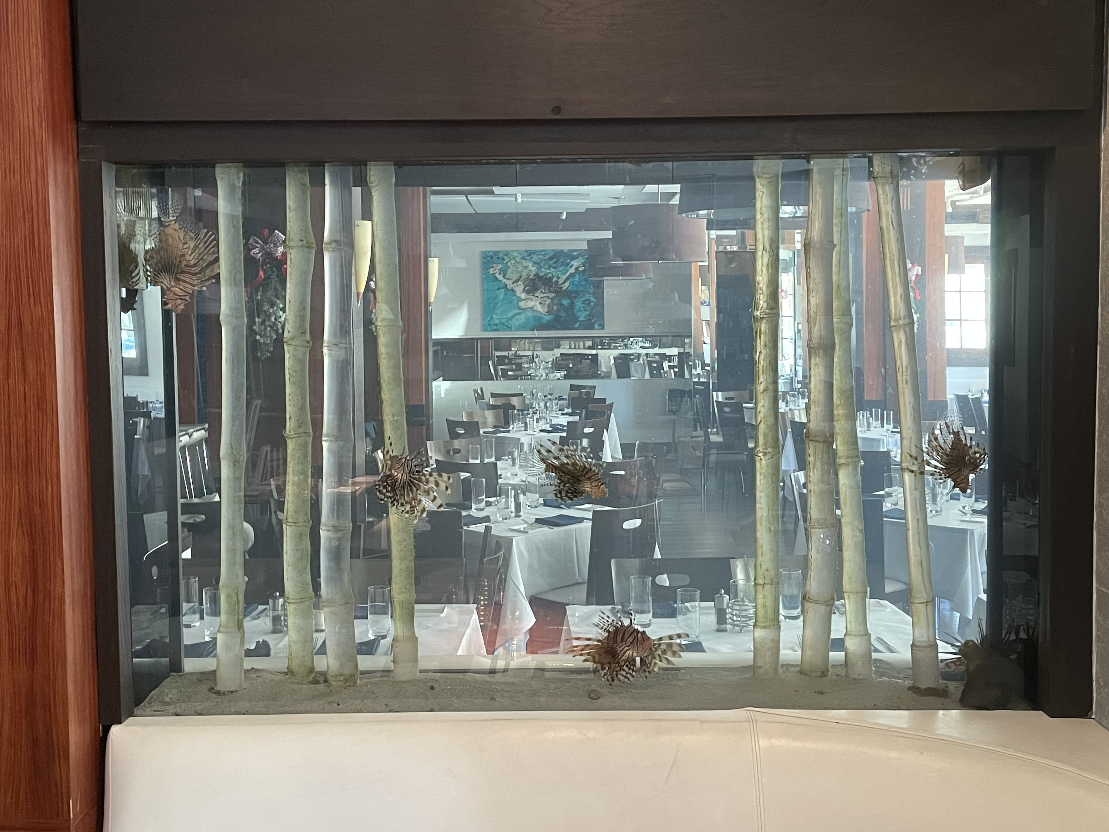 Commercial restaurant reef aquarium built into a wall bench with bamboo stalks and lionfish — custom commercial install by Aquaholic Aquarium Services